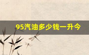 95汽油多少钱一升今天,今日油价查询