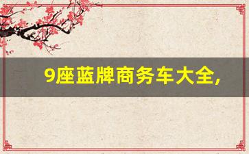 9座蓝牌商务车大全,国产最好的9座商务车