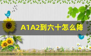 A1A2到六十怎么降级,最新A1证65岁降级