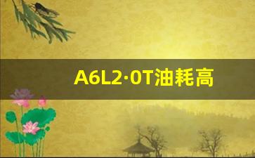 A6L2·0T油耗高吗,奥迪2.0t油耗一公里多少钱