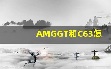 AMGGT和C63怎么选