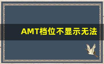 AMT档位不显示无法启动,p档不显示是什么原因