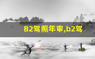 B2驾照年审,b2驾驶证用不用每年去审