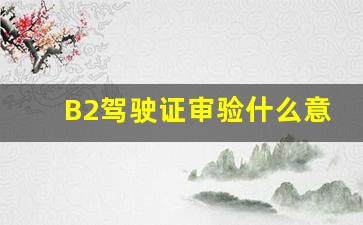 B2驾驶证审验什么意思