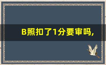 B照扣了1分要审吗,B2最多扣几分不考试