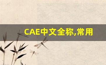 CAE中文全称,常用的cae软件有哪些