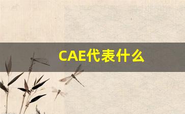 CAE代表什么