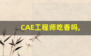 CAE工程师吃香吗,cae仿真软件