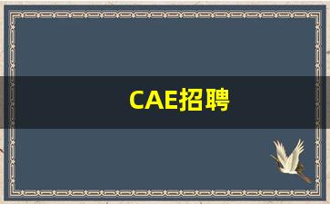 CAE招聘