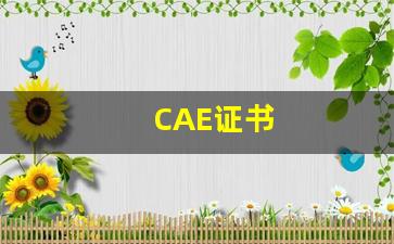 CAE证书