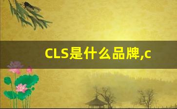 CLS是什么品牌,cls和e级哪个更高级