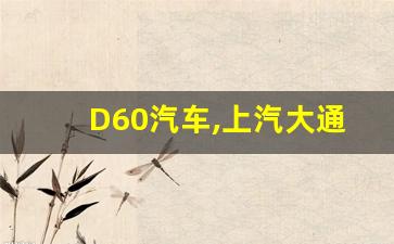 D60汽车,上汽大通d60参数