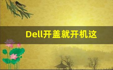 Dell开盖就开机这个功能好吗,戴尔按开机键无法唤醒