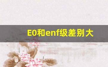 E0和enf级差别大吗知乎