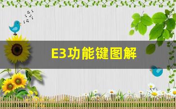 E3功能键图解