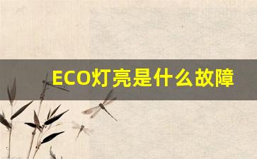 ECO灯亮是什么故障