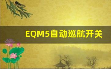 EQM5自动巡航开关