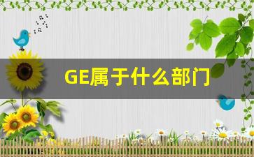 GE属于什么部门