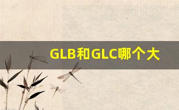 GLB和GLC哪个大,glb看上去比glc大