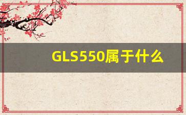 GLS550属于什么,奔驰GLS550价格