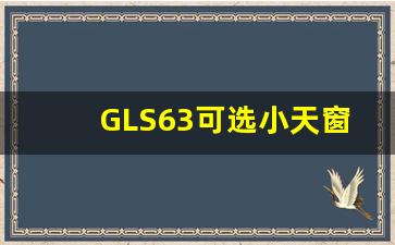 GLS63可选小天窗吗