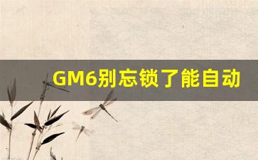 GM6别忘锁了能自动锁吗,传祺gm8自动落锁如何设置