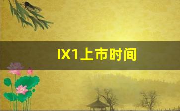 IX1上市时间