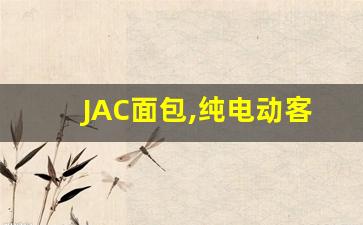 JAC面包,纯电动客货两用面包车