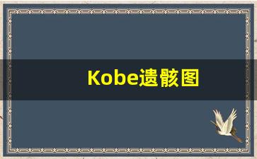 Kobe遗骸图