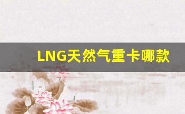 LNG天然气重卡哪款车好,天然气大货车还能买吗