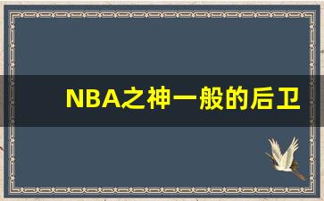 NBA之神一般的后卫,nba开局满级身体能力小说