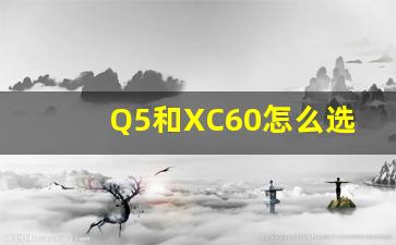 Q5和XC60怎么选