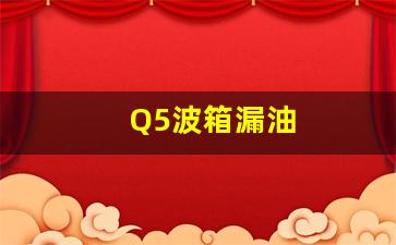 Q5波箱漏油