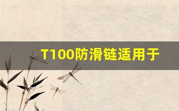 T100防滑链适用于多大轮胎