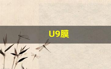 U9膜