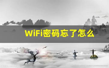 WiFi密码忘了怎么登录,wifi密码查看密码器下载无需root