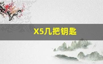 X5几把钥匙