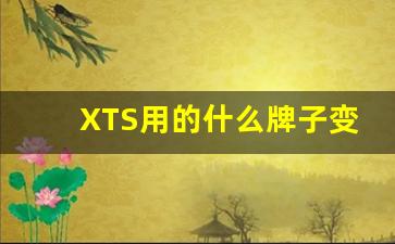 XTS用的什么牌子变速箱油,凯迪拉克换什么变速箱油好