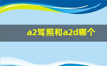 a2驾照和a2d哪个更高