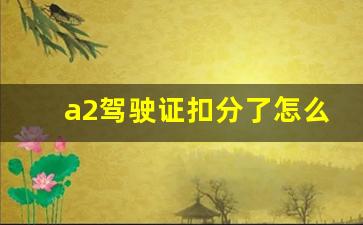 a2驾驶证扣分了怎么学,a2驾驶证扣分怎么办