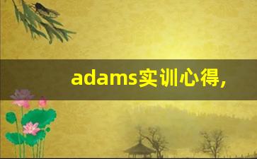 adams实训心得,adams动力学仿真