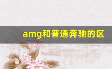 amg和普通奔驰的区别,奔驰amg属于什么档次