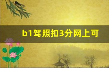 b1驾照扣3分网上可以学吗