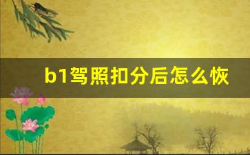 b1驾照扣分后怎么恢复满分,b1驾驶证扣8分怎么处理