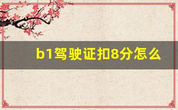 b1驾驶证扣8分怎么处理,驾照b1扣分怎么处理