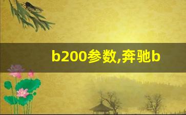 b200参数,奔驰b200油箱容积多少