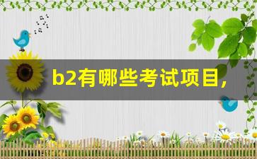 b2有哪些考试项目,b2一共多少项目