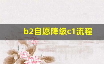 b2自愿降级c1流程,c1驾照六年可自动升b2