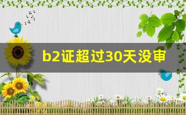 b2证超过30天没审会怎样,驾驶证过了30天未审怎么处理