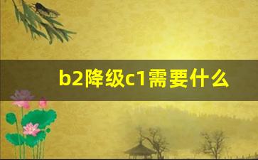 b2降级c1需要什么手续